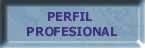 Perfil Profesional